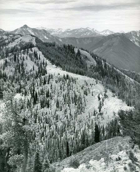 Picture of Picture Ridge from Picture Point